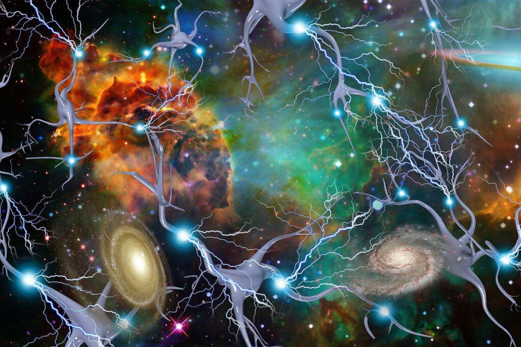 neuroscience neuroscience