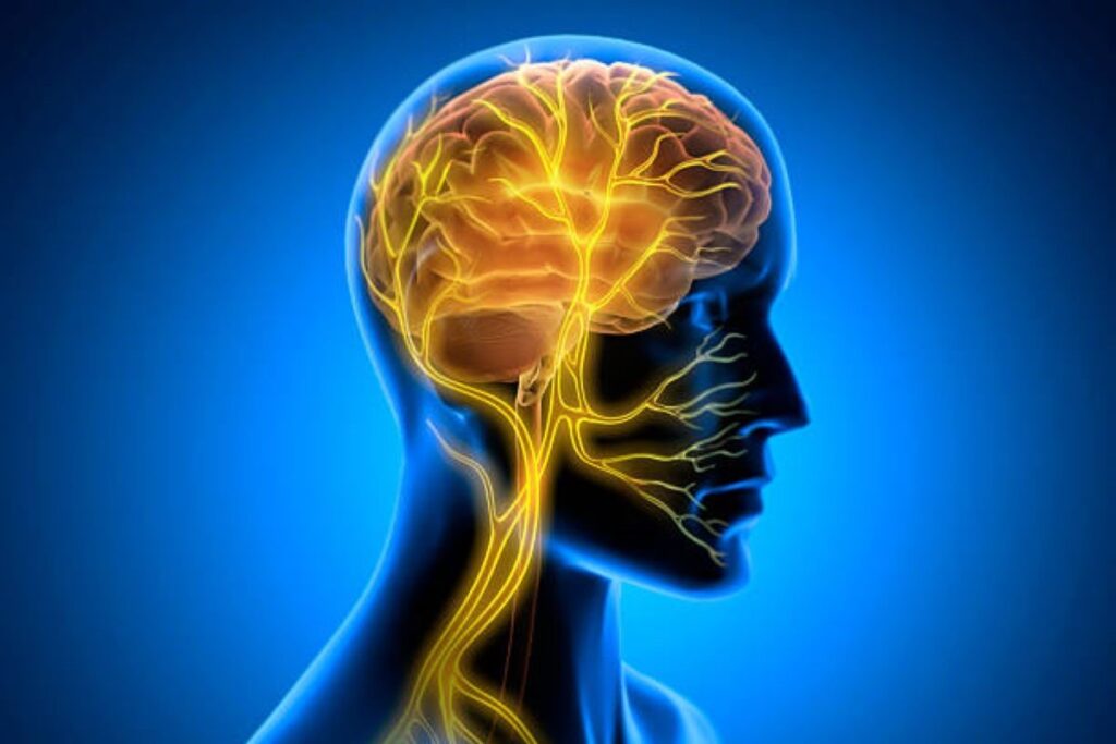 istockphoto 2213660629 612x612