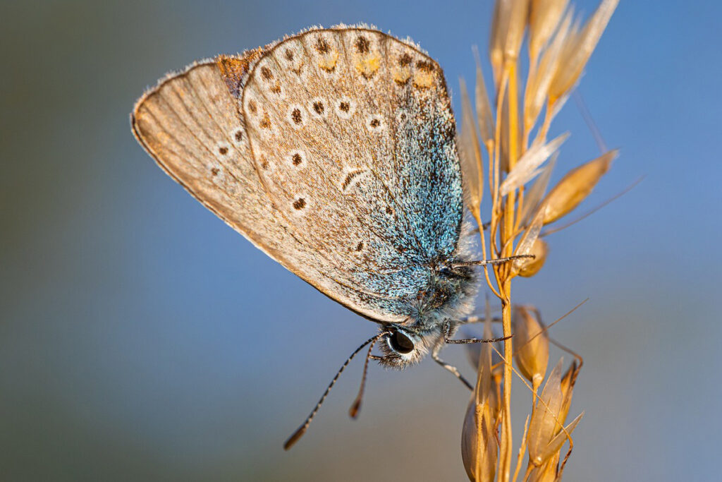 couleurs lumière thérapie