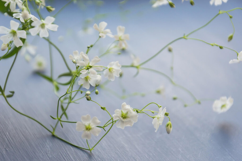 mini-parcours_revenir-au-coeur