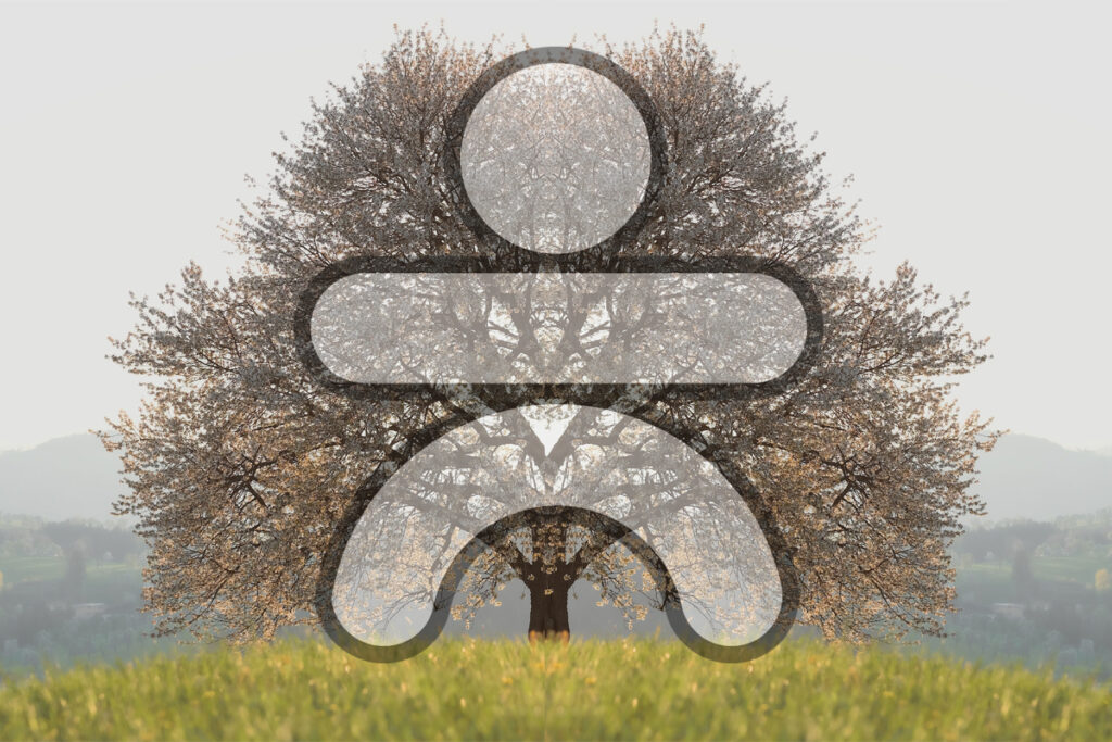 bioanalogie arbre cle de naissance